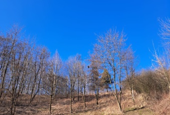 działka budowlana na sprzedaż