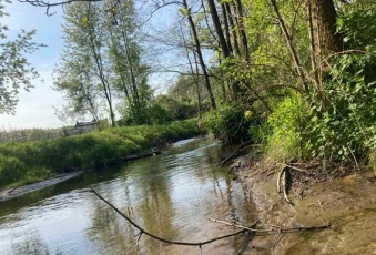 Działka 4500 mkw. Jeziora / Pniewy