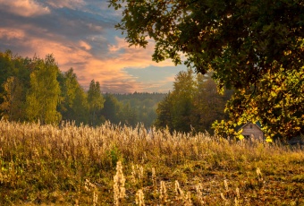 Prywatne Wzgórze Morenowe – Panorama i Cisza