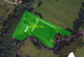Sprzedam dom, basen, staw, działka 1,25 ha - KONIN