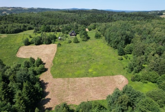 Działka rekreacyjna/rolna 81a (8100m2) Glinik Górny