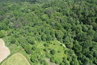 Działka rolno/rekreacyjna 61a (6100m2) Żohatyn