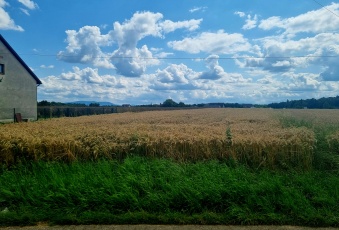 Atrakcyjna działka w Pruchnej koło Skoczowa