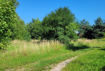 Działka z gotowymi WZ pod Twój dom