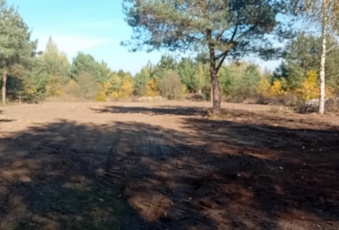 Zarób na CPK – niektórzy już zarabiają!.;) 