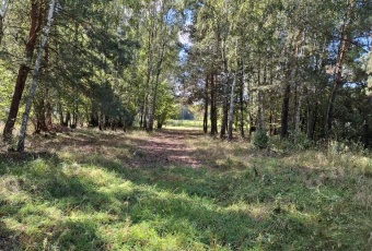 Działki na sprzedaż Sokóle