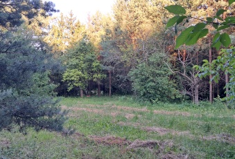 Działka budowlana - Strzyżowice - bezpośrednio