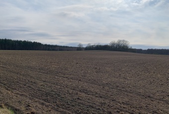 Działki rolne w Pątnowie Legnickim