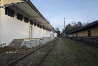 Komercja na wynajem w Nowa Sarzyna  Chemików o powierzchni 900 mkw