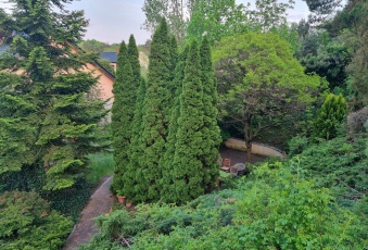 Dom na dużej zielonej działce w Puszczykowie 