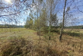 Nieruchomość gruntowa w miejscowości Stanisławów