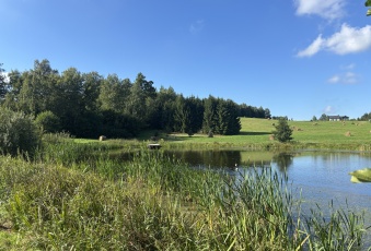 Sprzedam atrakcyjne działki budowlane koło Elbląga
