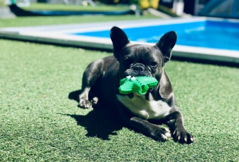 Kompleks apartamenów nad morzem-Wisełka.