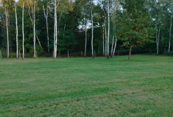 Malownicza działka pod lasem