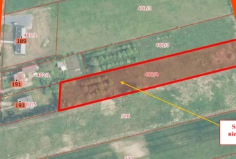 Syndyk sprzeda nieruchomość