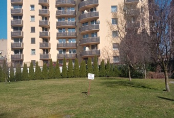 Kawalerka w centrum Gliwic