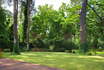 Komfortowy dom na Zielonych Młocinach