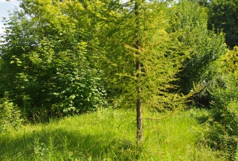 Działka na sprzedaż w Słaboszów Śladów śladów o powierzchni 13224 mkw