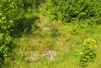 Działka na sprzedaż w Słaboszów Śladów śladów o powierzchni 13224 mkw