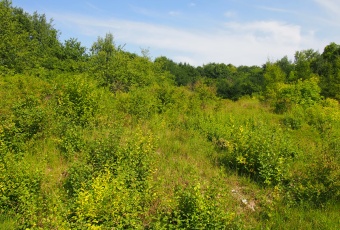 Działka na sprzedaż w Słaboszów Śladów śladów o powierzchni 13224 mkw