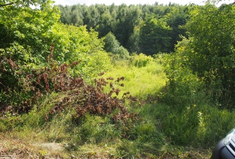 Działka na sprzedaż w Słaboszów Śladów śladów o powierzchni 13224 mkw