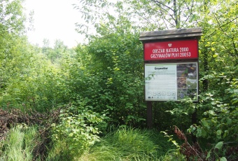 Działka na sprzedaż w Słaboszów Śladów śladów o powierzchni 13224 mkw