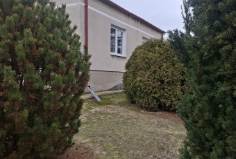 Dom parterowy jednorodzinny na dużej działce.