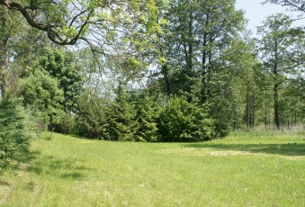 Działka z linią brzegową Rukławki