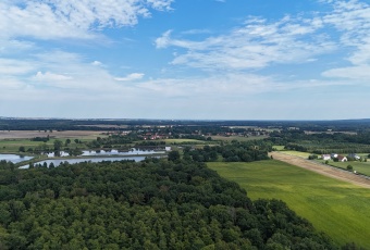 Działki w lesie 40 min od Wrocławia – od 39 900 zł!