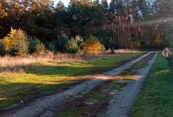 Działka Bogusławki - Sulęcinek