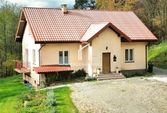 Dom z dużą działką, Ryglice, p. tarnowski, 1,01ha