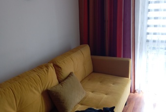 Mieszkanie /super lokalizacja/negocjacja ceny