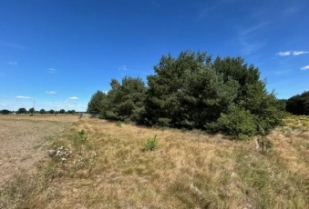 Działka budowlana wieś Łacha / Serock