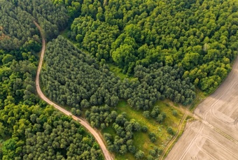Na sprzedaż działki rekreacyjne w lesie, Wrocław