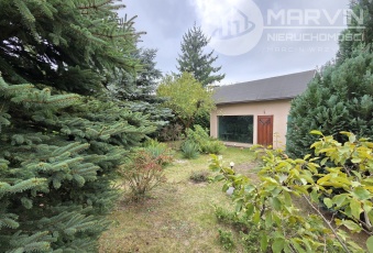 Piękny ROD (300m2) z Domkiem (26m2/5m wys.) !!!