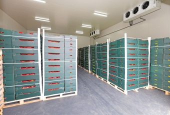 Chłodnia, magazyn 50-200 m² regały, wózek widłowy
