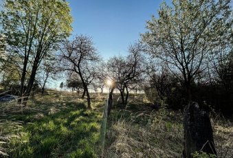 DZIAŁKA BUDOWLANA 2700 m² ZE STARYM SADEM | ŁAZY 