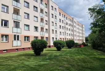 Ciche i słoneczne z widokiem na przestrzeń i zieleń