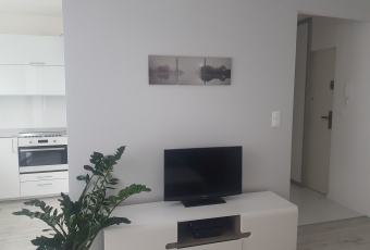 do wynajęcia apartament