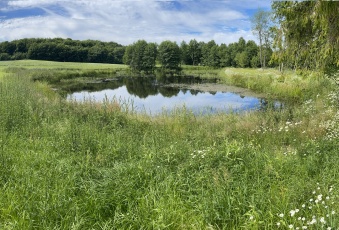 1,56ha DZIAŁKA BUDOWLANA ZE STAWEM 35min od Gdańsk