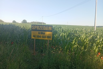 Sprzedam działkę przy drodze Stare Miasto