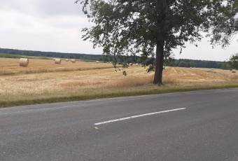 Działka 1,67 ha rolno-inwestycyjna w Lututowie