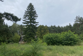 Pruszewiec, koło Tuczna - bajeczna działka w lesie