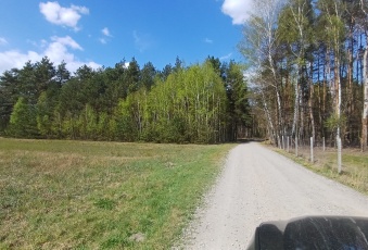 Działki budowlane pod lasem gmina Warka, Borowe