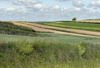 Syndyk sprzeda działkę w Rudnie Wielkim