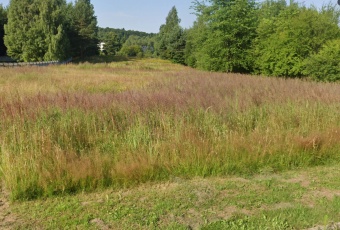 Działka, 0,96 ha, SIODŁA – 7 km od KIELC
