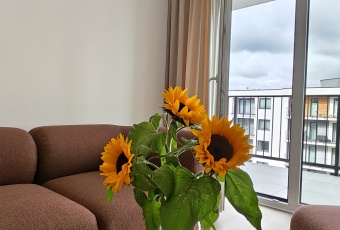 WADOWICE MIESZKANIE GOTOWE DO ZAMIESZKANIA BALKON